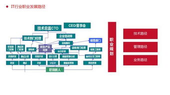 中港教育與大連開魚科技攜手,培養(yǎng)軟件開發(fā)及新媒體運營人才
