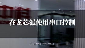 龍芯第四批教育部1 x證書 嵌入式邊緣計算軟硬件開發(fā)職業(yè)技能等級證書說明會
